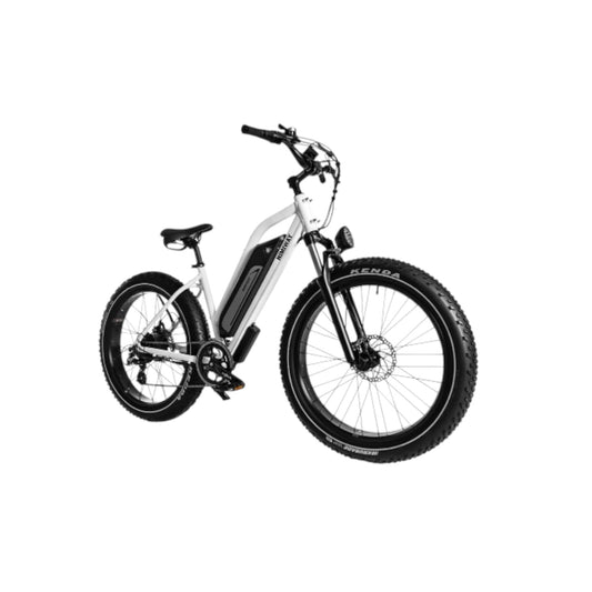 Himiway D3 (Cruiser)