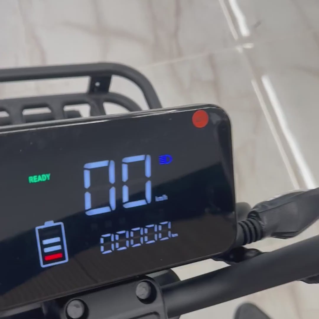 PET TRIKE - Elektro-Dreirad